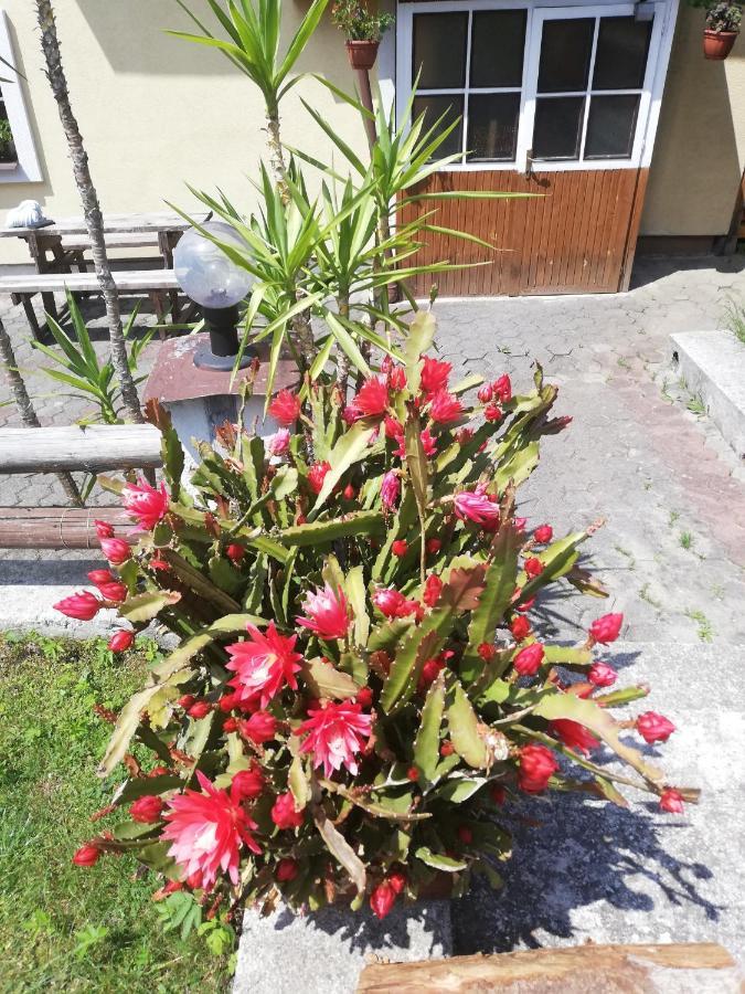 Penzión Baltazár Liptovska Luzna Exterior foto